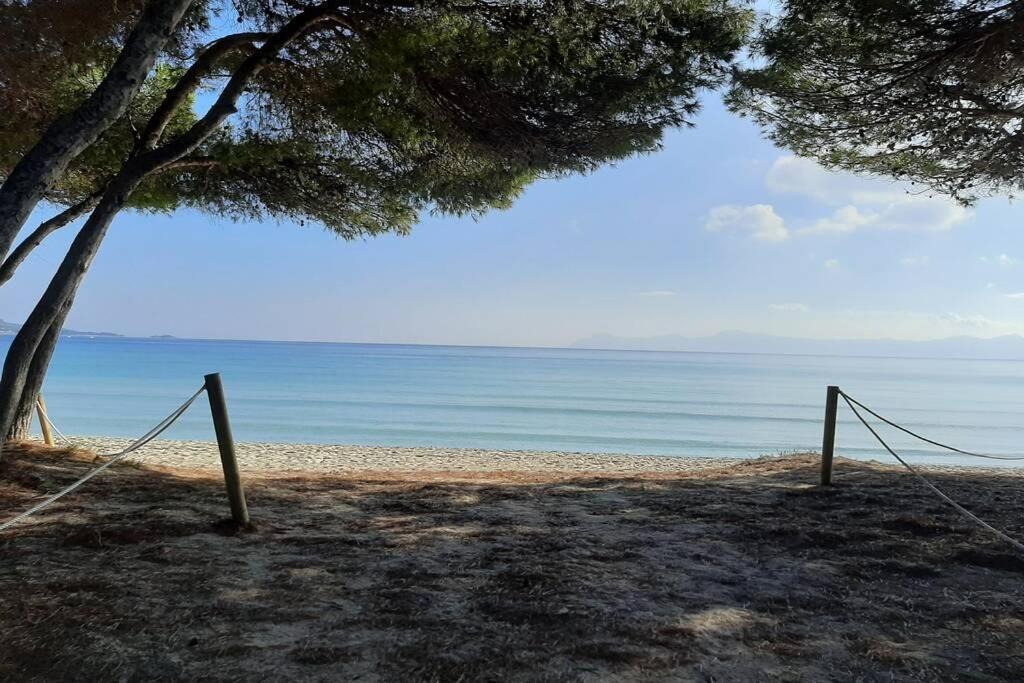 Apartamento Francesca With Pool In Playa De *